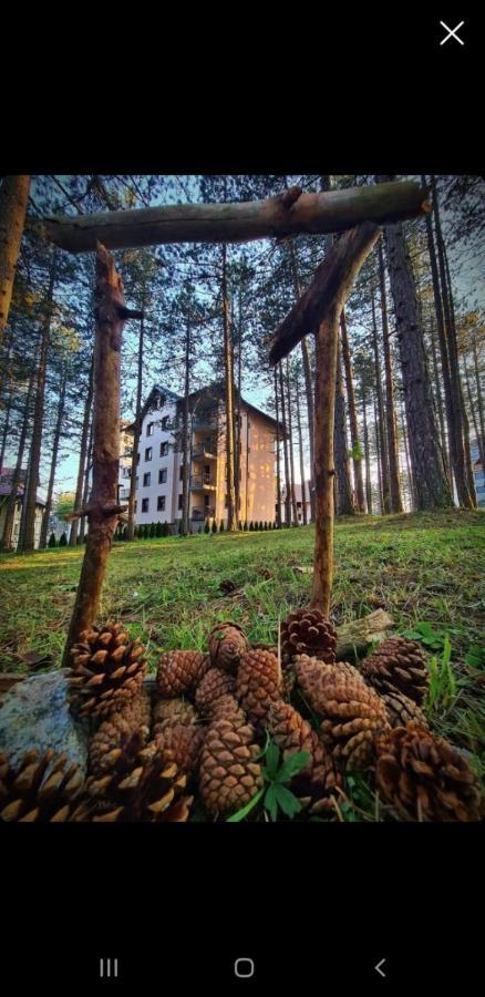 Apartman Pavle Zlatibor Extérieur photo
