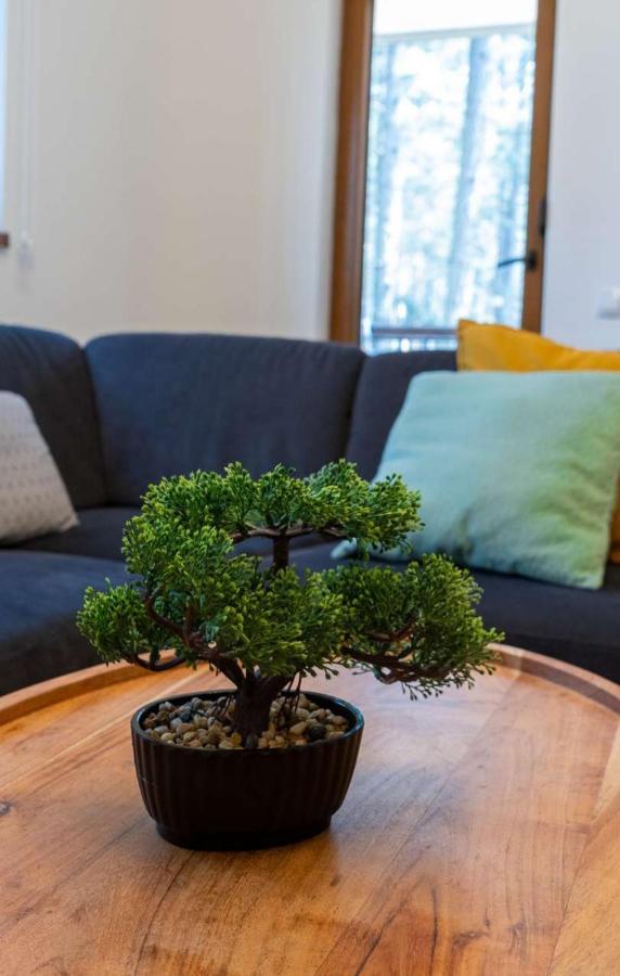 Apartman Pavle Zlatibor Extérieur photo