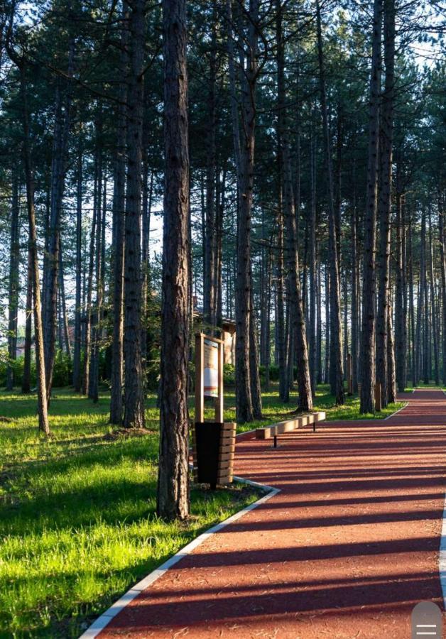 Apartman Pavle Zlatibor Extérieur photo