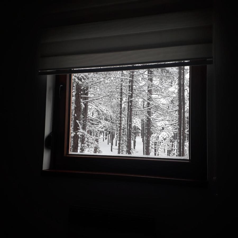 Apartman Pavle Zlatibor Extérieur photo